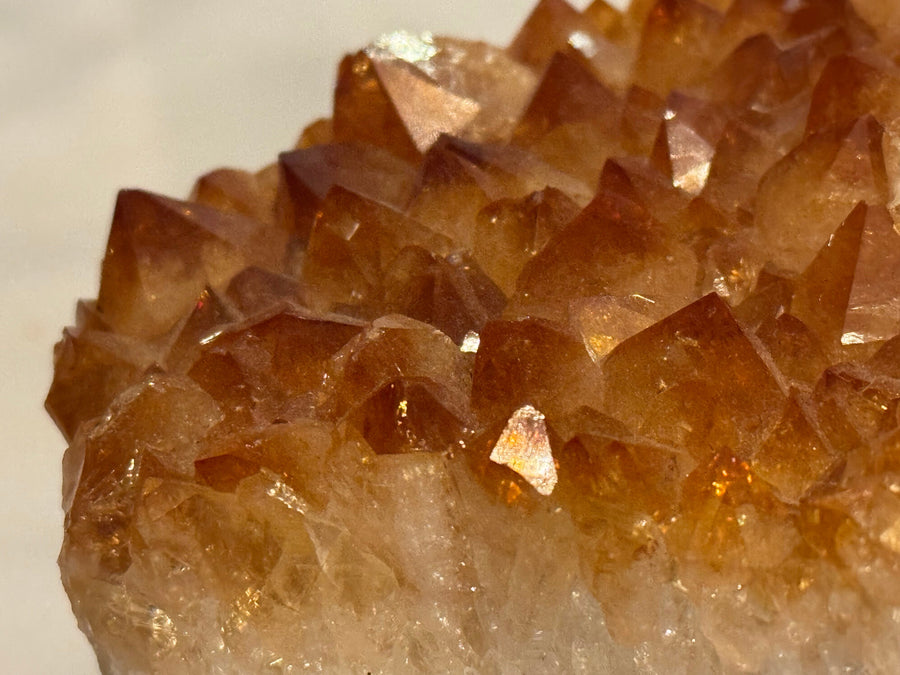 Close-up of golden amber citrine crystal points from Brazil