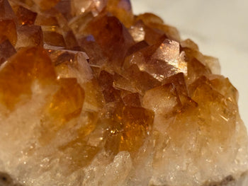 Close-up of honey-toned citrine points rising from white quartz