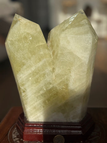 Citrine twin tower 5.6kg on wooden stand, rear angle